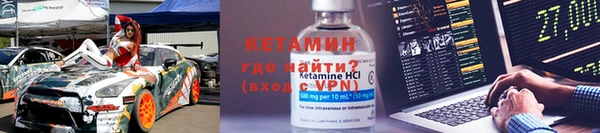 крисы Алексин