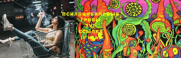 индика Алзамай