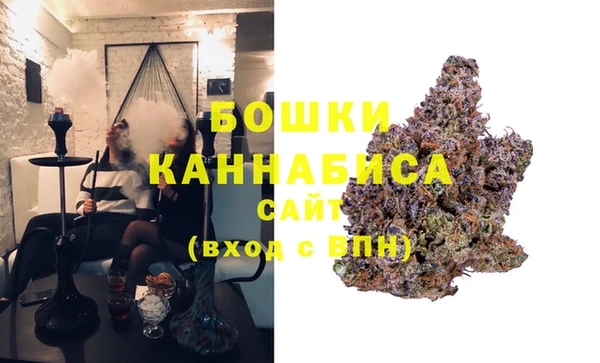 индика Алзамай