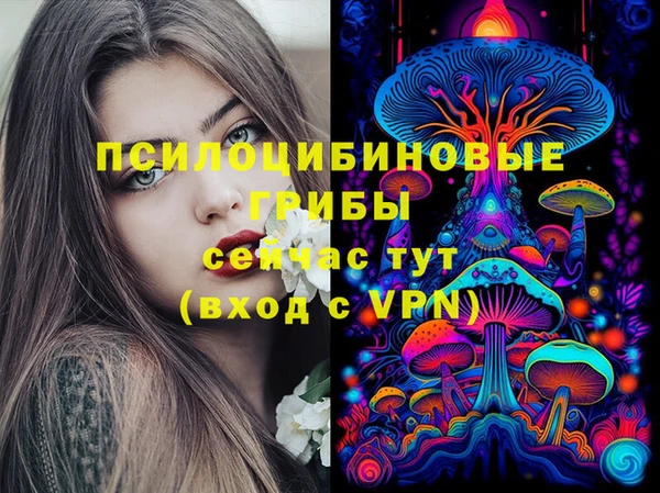 индика Алзамай