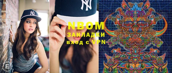 индика Алзамай