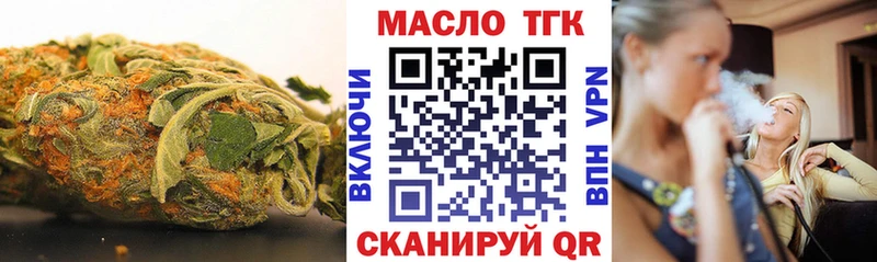 где можно купить   Котлас  ТГК концентрат 