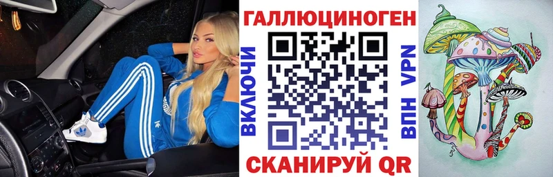 где найти наркотики Котлас Галлюциногенные грибы GOLDEN TEACHER