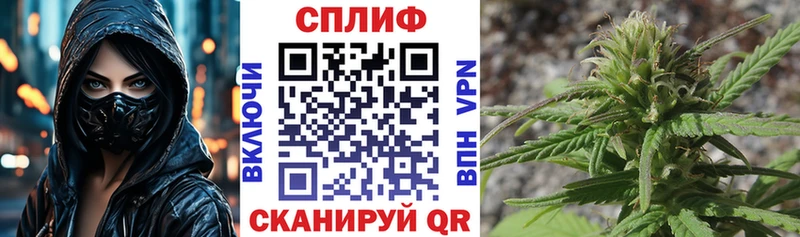 Шишки марихуана сатива  Котлас 